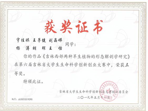 说明: 宇佳琪